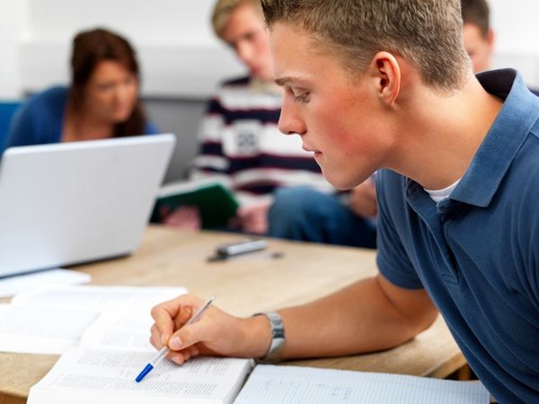 A Sample Essay on Critical Thinking A Sample Essay on Critical Thinking